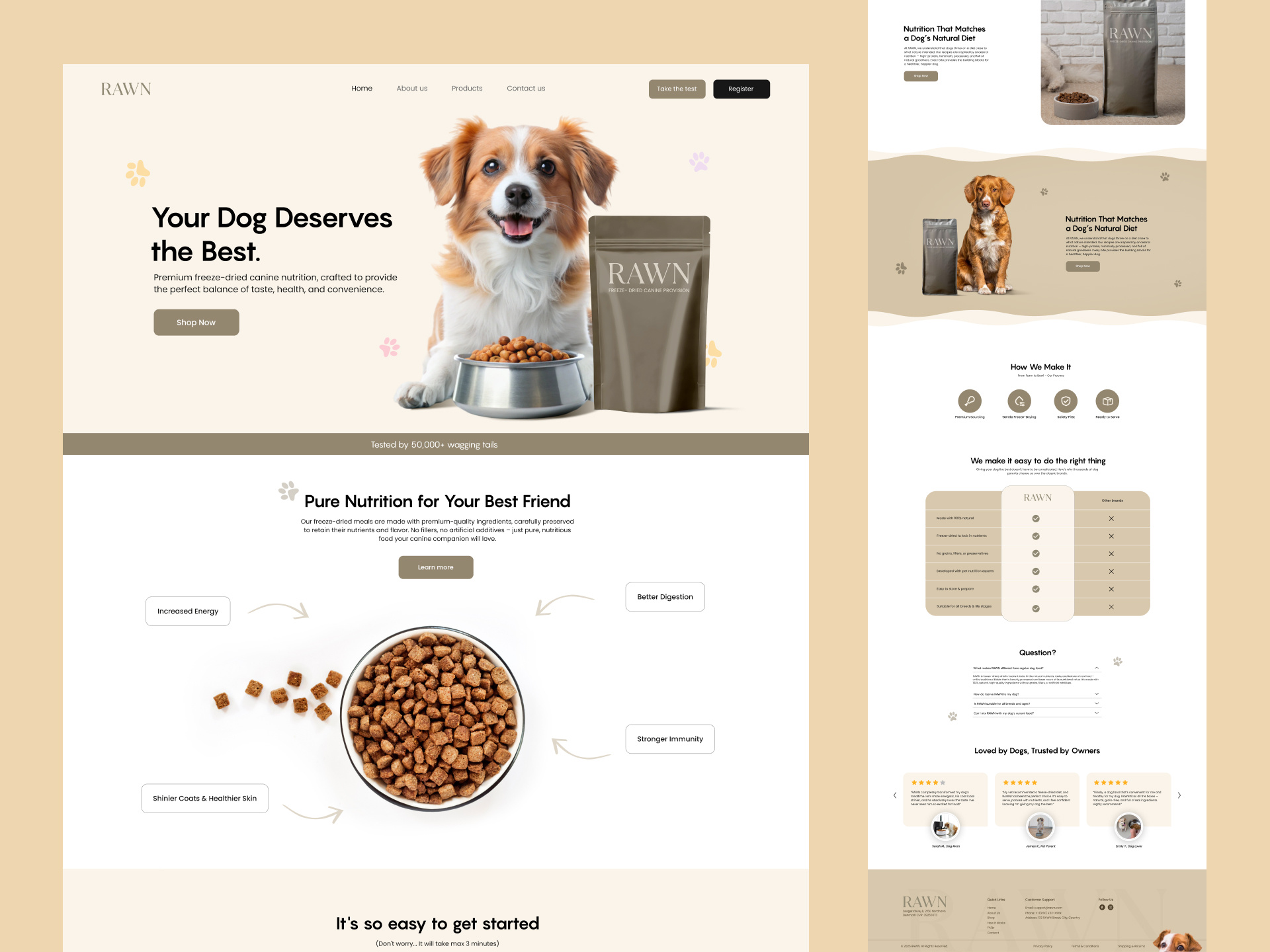 Example of Landing Page Design