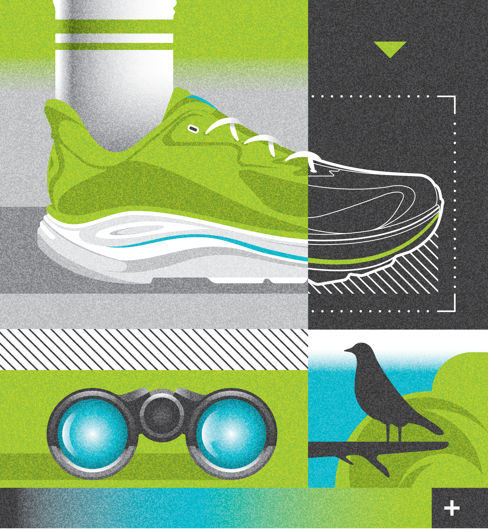 45 testing insights you need to know (Which?) binoculars bird illustration shoe sneaker