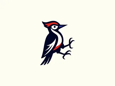 Bold Woodpecker Logo animal bird bold branding design emblem icon identity illustration logo mark modern nature sports symbol vector woodpecker