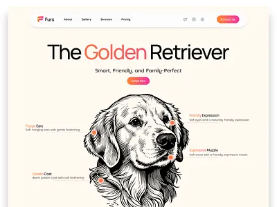Dog Illustration for Web UI branding fi figma design illustration ui