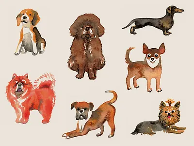 Doggos beagle boxer breeds canine chihuahua chow chow dachshund dogs illustration ink pets pups terrier watercolor