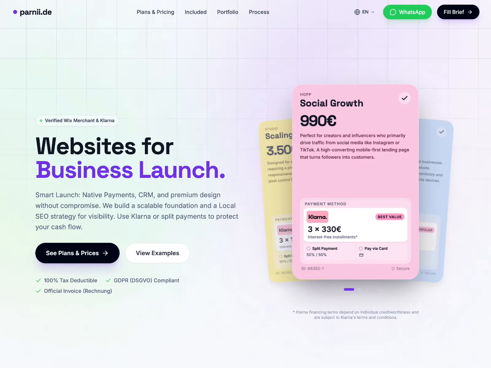 Example of Business Launch — Full Business Website
