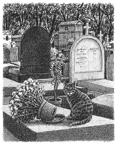 Cemetery Cat animals art artist artwork cat cemetery drawing funny hand drawn illustration ink plants