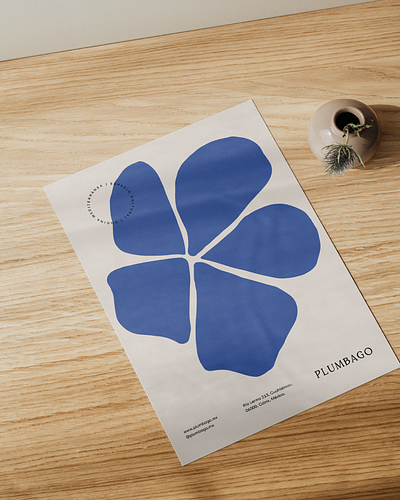 Plumbago branding design graphic design illustration