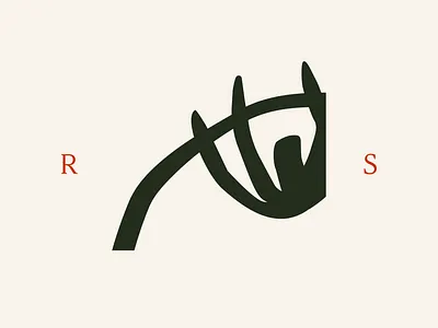 R & S branding design graphic design illustration illustrator vector