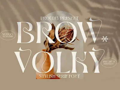 Brown Volky Stylish Serif Font clean cover cover lettering cover lettering design font font freebies font type fonts free freebies font freebies font freebies fonts freelance graphic design lettering lettering cover type type fonts types typography