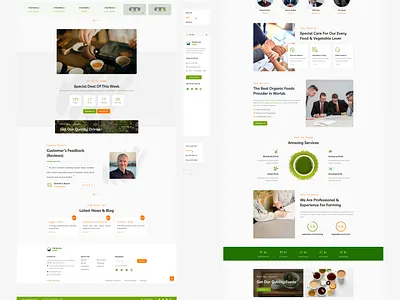 Trungduxanh Web - Green Tea design figma green tea illustrator ui ux web