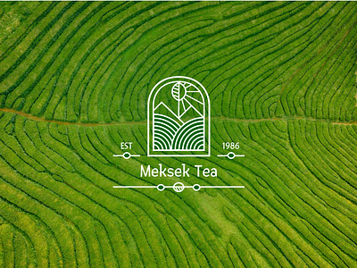 #21 Meksek Tea brand brand design brand identity branding daily 100 daily 100 challenge design food food industry graphic design logo logo design rebrand rebranding tea tea brand tea product