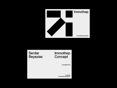 Immothep Concept — ​​​​​​​Brand Strategy agence nantes brand branding design graphic design identity illustration logo ui vector