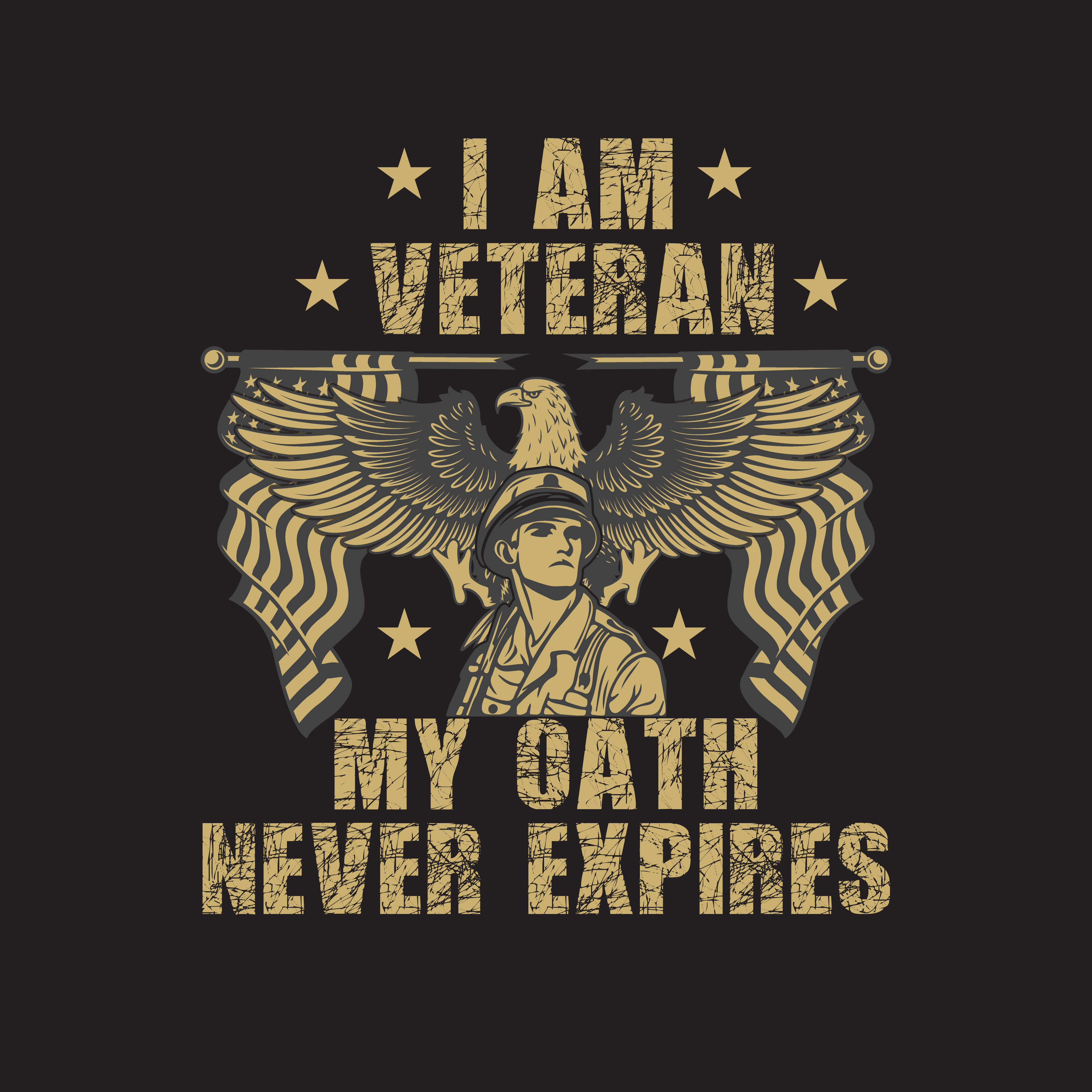 Veteran Day T Shirt Design branding design graphic design illustration logo typography vector veteran