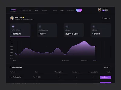 VIDBEE - Dashboard dashboard design logo product design ui user interface ux web design webapp