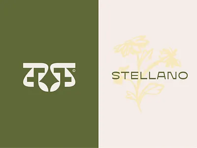 STELLANO SPA 2025 authentic beauti branding culctural design graphic design illustration logo minimal logo natural spa star typography vector