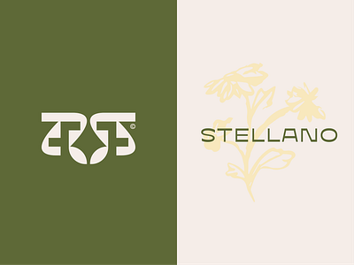 STELLANO SPA 2025 authentic beauti branding culctural design graphic design illustration logo minimal logo natural spa star typography vector