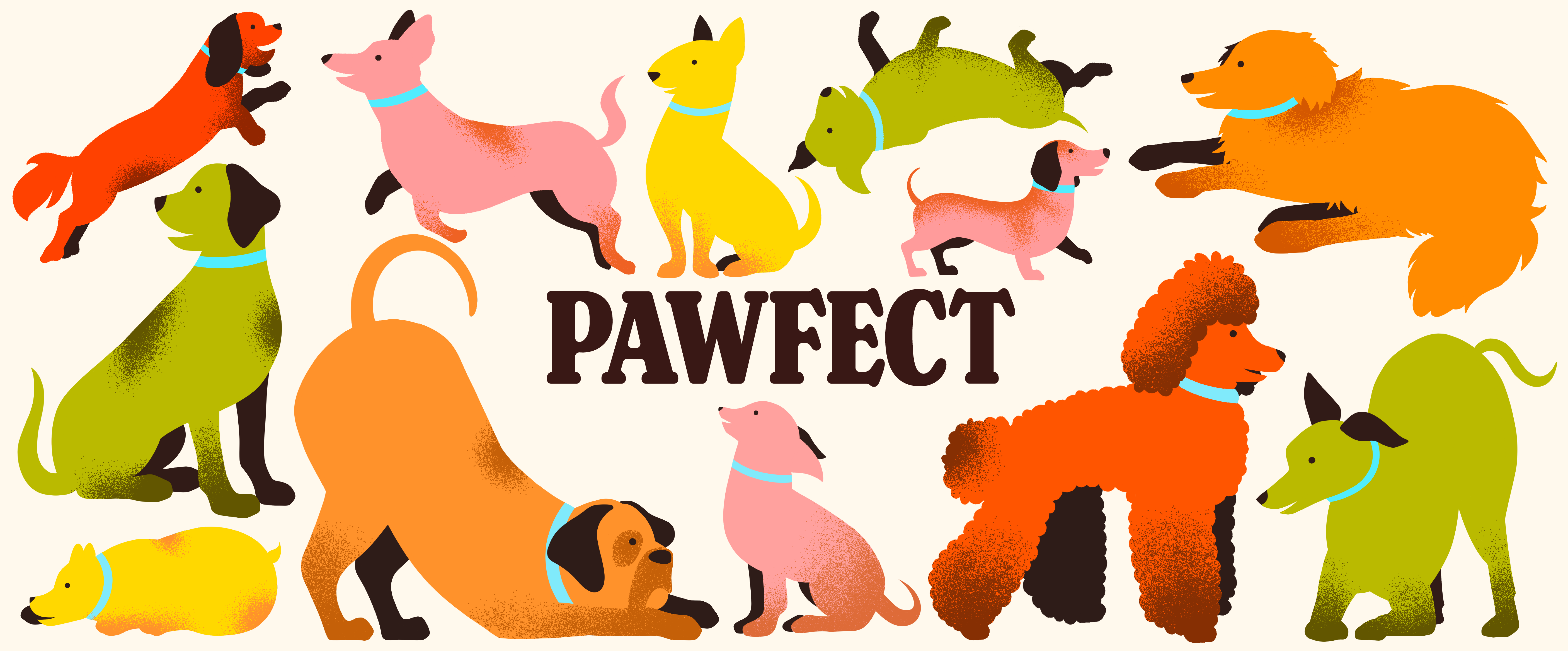 Pawfect - Packaging & Branding art branding design digital dogillustrations dogtreat graphic graphic design illustration illustrator logo petbranding treatbranding
