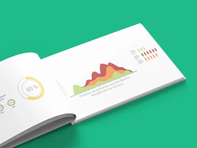 Data Visualization Booklet branding creative design design graphic design icons design infographic design ui ux