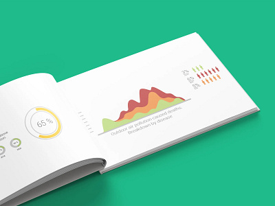 Data Visualization Booklet branding creative design design graphic design icons design infographic design ui ux