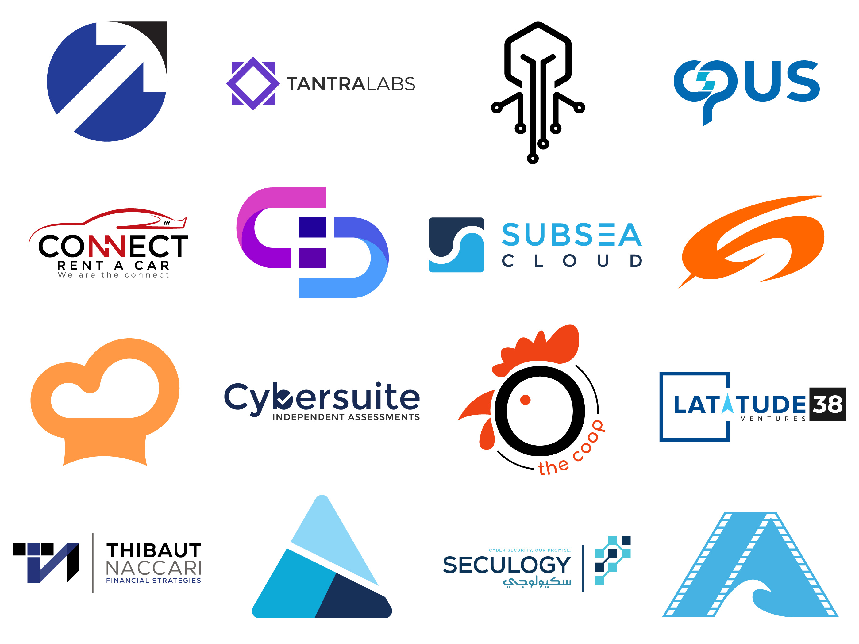 Example of Premium, Clean & Custom Logo Design 