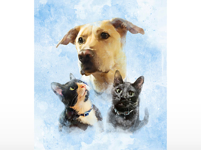 Watercolor Pet Illustration adobe photoshop cats composite design dogs graphic design illustration pets water color watercolor