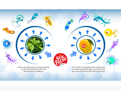 StixFresh / Rype Labs - Infographic ad adobe illustrator adobe photoshop bacteria business colorful design food fruit graphic graphic design illustration infographic science startup