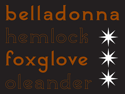November Guest - Serif Lowercase design font font design lowercase outline poison serif star type type design typography vector