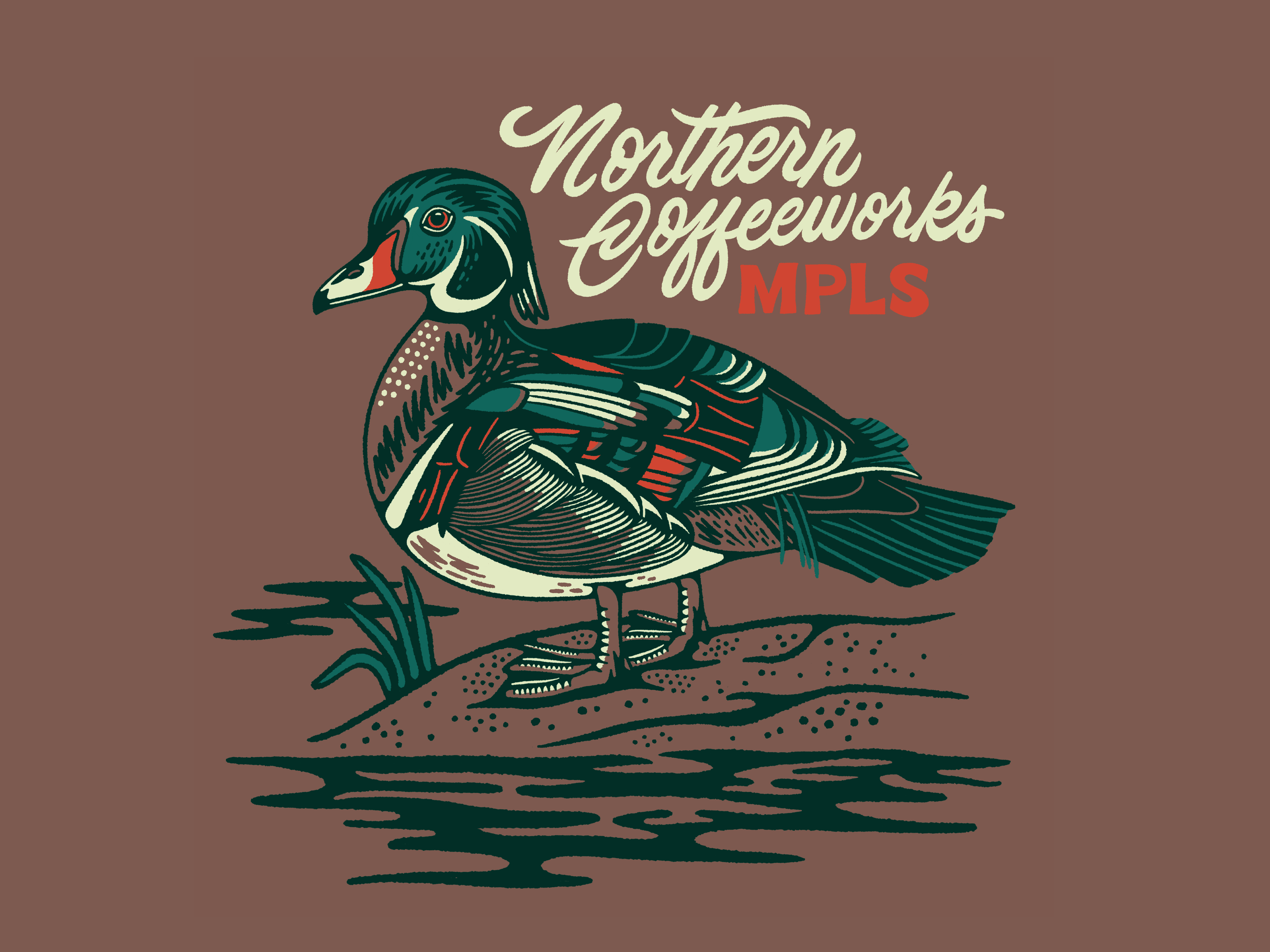 Wood Duck cafe coffee duck fowl illustration minneapolis minnesota nature roastery shop water wood