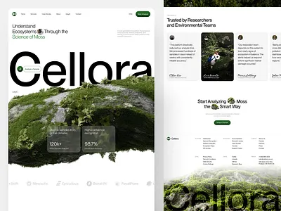 Cellora AI - Moss Analyze AI Website ai branding design ecosystems go green header landing page minimal nateure science ui ui design uiux ux design web design website