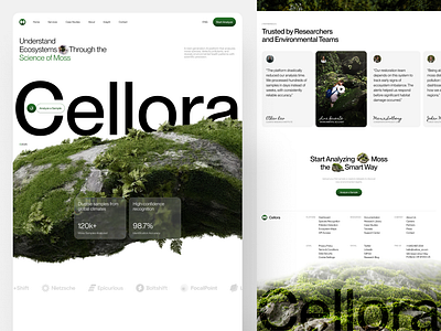 Cellora AI - Moss Analyze AI Website ai branding design ecosystems go green header landing page minimal nateure science ui ui design uiux ux design web design website