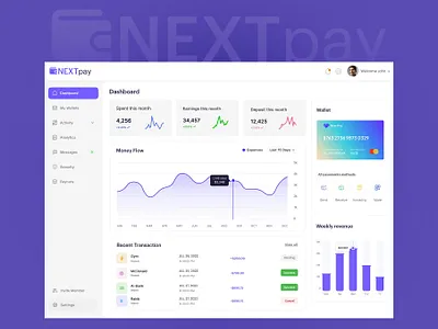 NEXT pay Dashboard admin panel banking dashboard payment ui wallet website