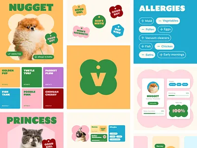 Vetstor Branding brand branding colors exploration health healthcare pattern pet petcare pets startup typography