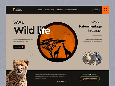 National Geographic Website Design amazon animal color creative design geographic header design homepage landingpage minimal mockup national geoprahic nature saas web web3 website website design wild wildlife