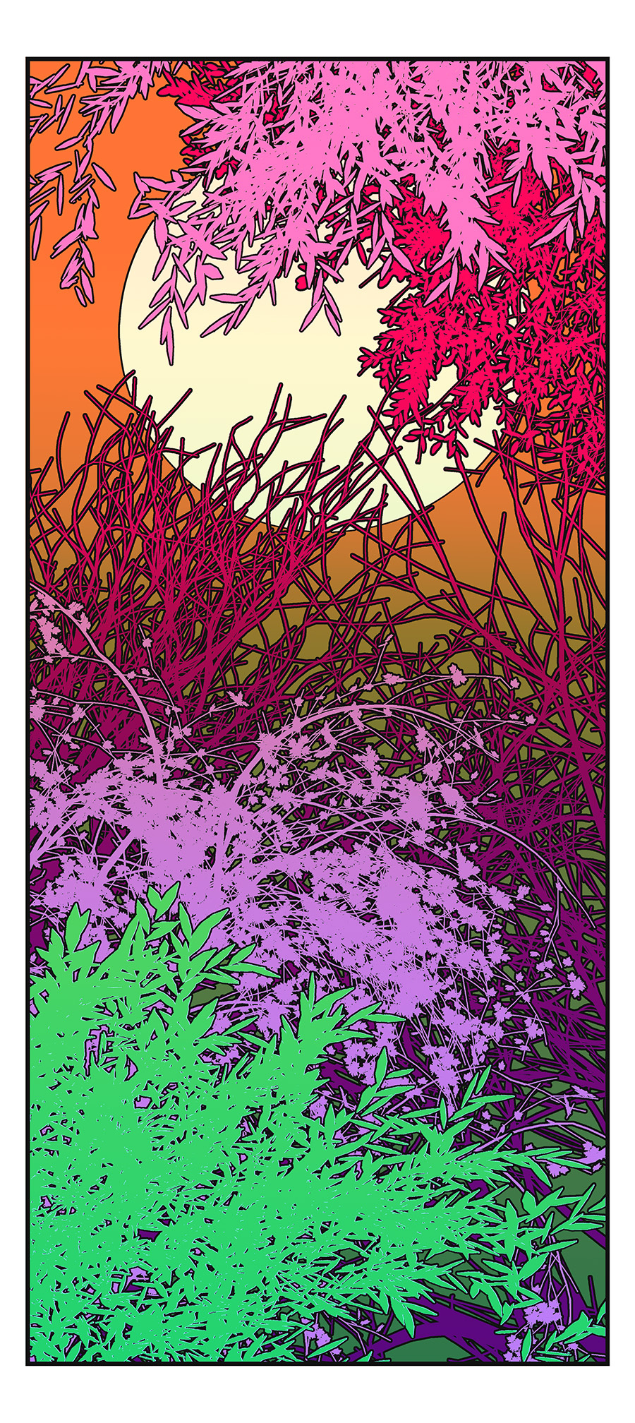 Night day forest illustration moon night sun