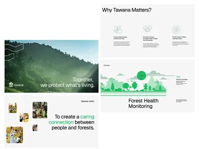 Pitch Deck for Tawana — Community-Based Forest Protection app brandidentity branding design forest forestranger graphic design identitydesign logo pitchdeck protection volunteer