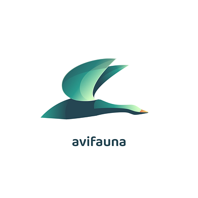 Avifauna - Logo Animation ae animated logo animation branding branding animation design graphic design illustration interaction logo logo design motion graphics ui vector