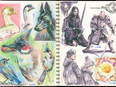 daily practice [colored pencils, inkwash] animals bird character design colored pencils concept art drawing etching ink inkwash sketching tradtional