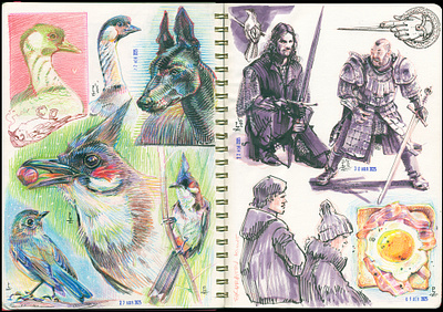 daily practice [colored pencils, inkwash] animals bird character design colored pencils concept art drawing etching ink inkwash sketching tradtional