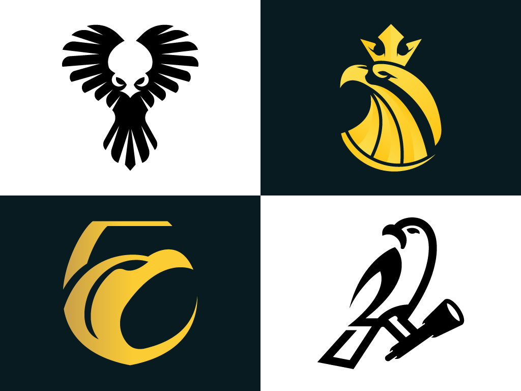 Example of Professional Logo Design.