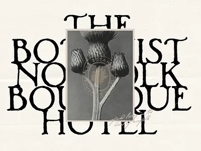 Branding showcase done with Woodlands - Vintage Hand-painted type design