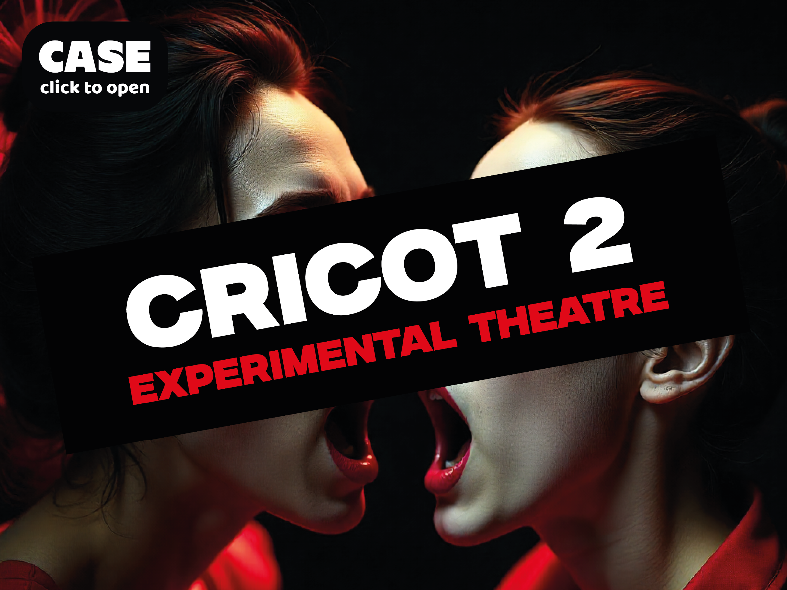 Cricot 2. Experimental Theatre. The Brand Identity ai brand design branding design graphic design logo poster sofia shivilko theatre vector visual identification