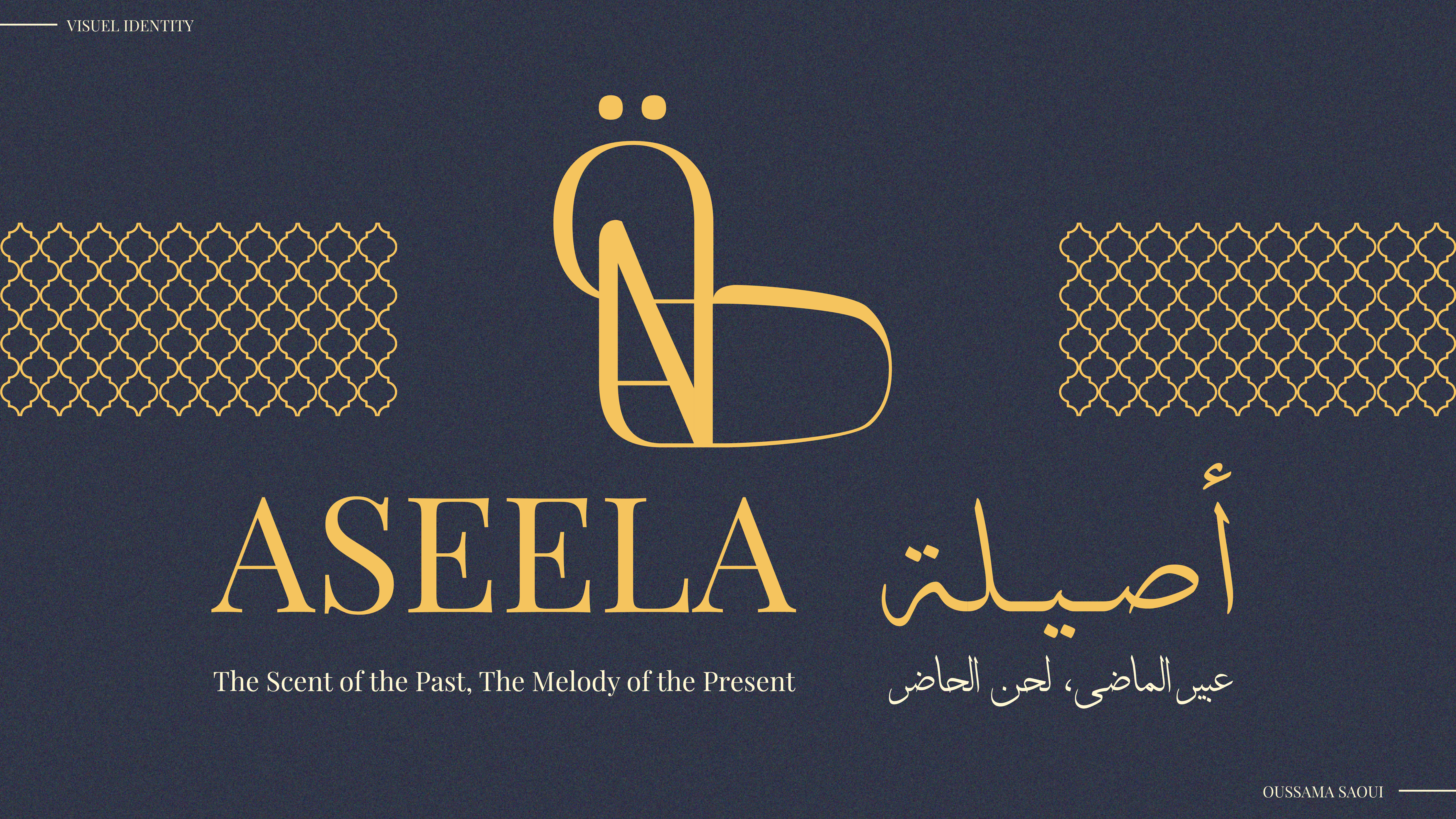 Example of Professional Visual Identity Design