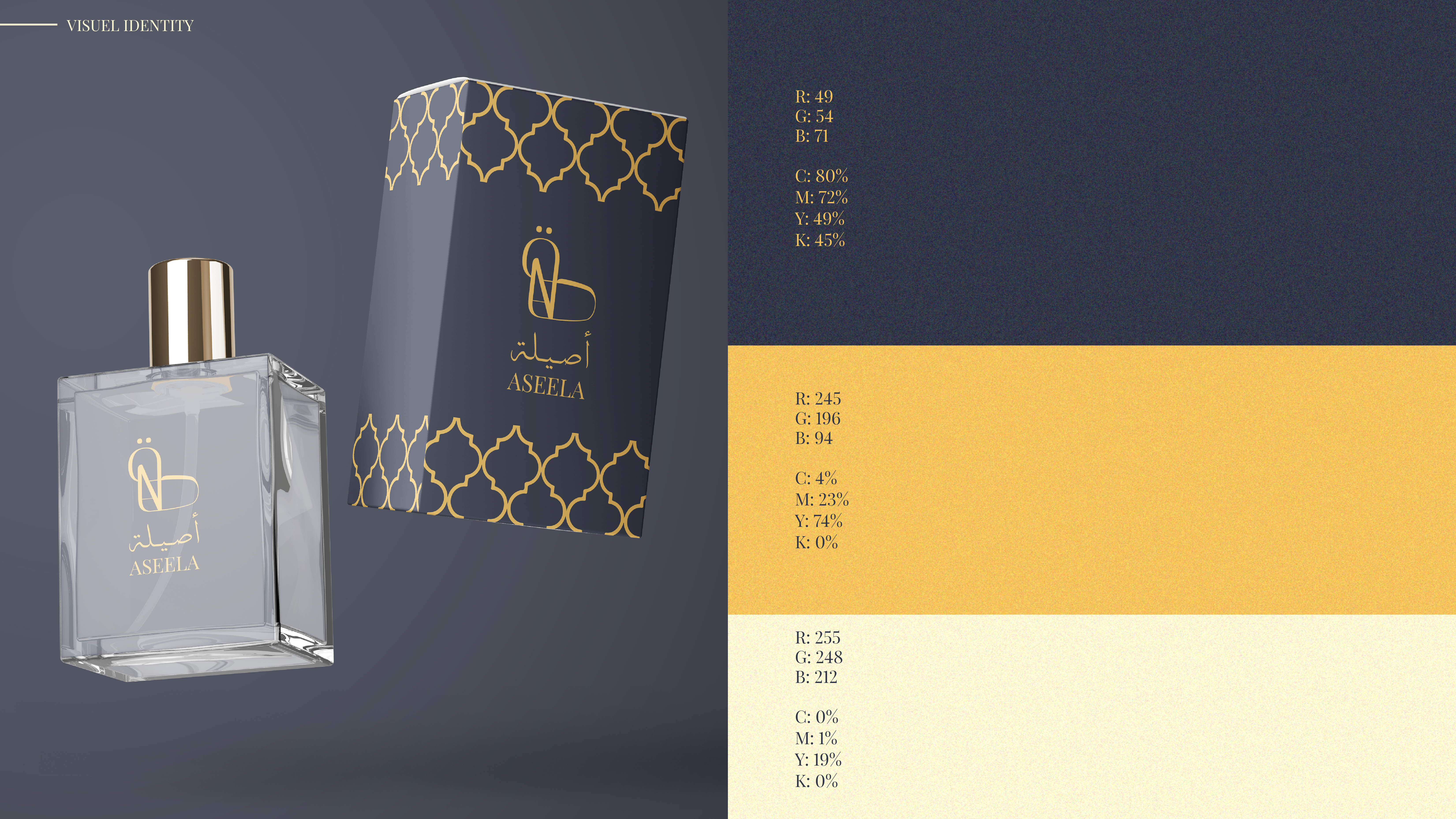 Example of Professional Visual Identity Design