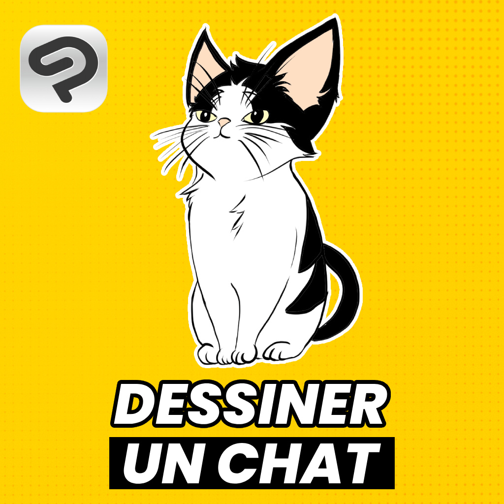 Dessiner un chat cat chat dessin draw felin tuto tutorial tutoriel youtube