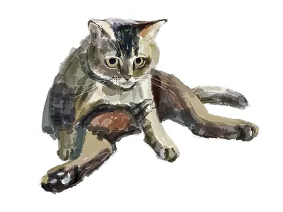 Mood cat illustration watercolour