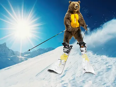 Image d'un ours graphic design