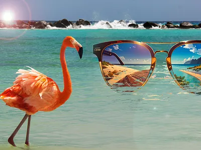 Image d'un flamant rose graphic design motion graphics