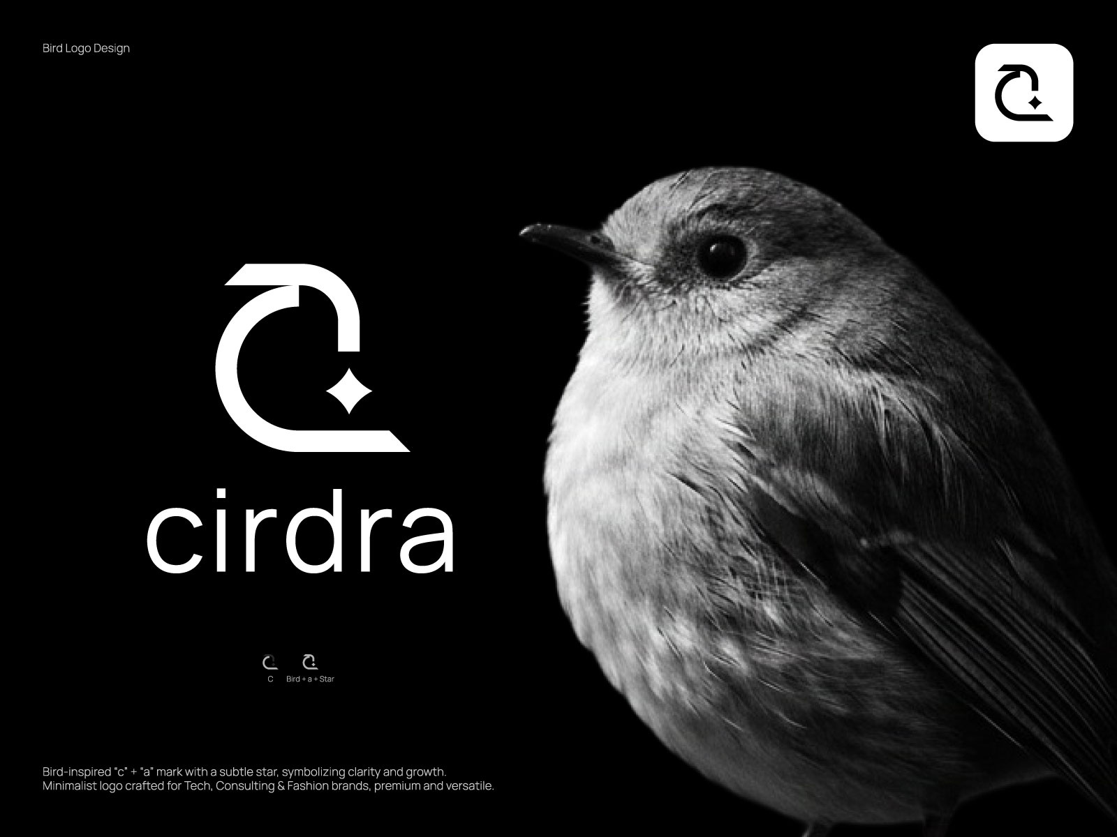 Minimalist Bird Logo for Tech, Consulting & Fashion Brands ai logo apparel logo bird logo brandidentity branding clothing brand logo consulting agency logo consulting logo digital brand logo fashion brand logo fashion logo logo logodesign logotype luxury logo minimal minimalist logo modern logo tech logo tech startup