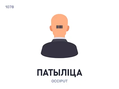 Патыліца / Occiput belarus belarusian language daily flat icon illustration vector word