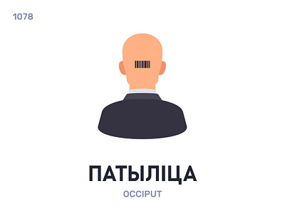 Патыліца / Occiput belarus belarusian language daily flat icon illustration vector word