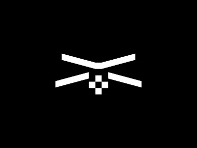 Drone 2 camera drone logo modern simple