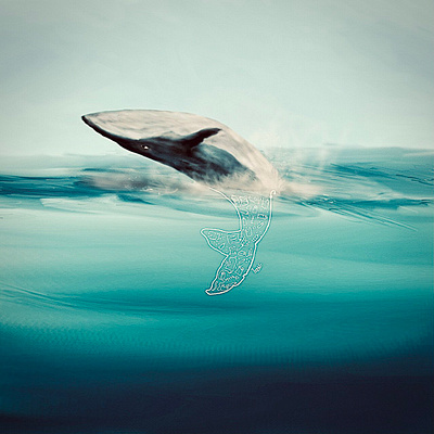 whale illustration plastic whale
