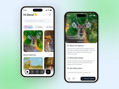 Urban Wildlife Tracking App. appdesign casestudy cleanui concept dashboard figma iosapp minimal mobileapp mobiledesign modernui nature productdesign trackingapp ui uidesign uiux ux uxdesign wildlife